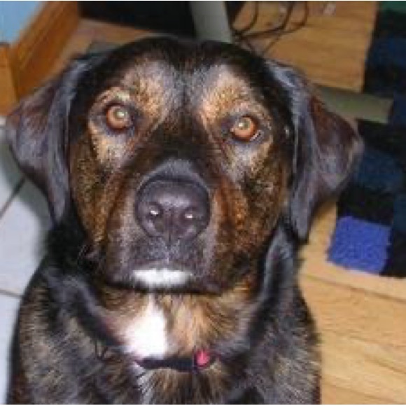 Meet your Posher, Carolyn - Picture 12 of 15